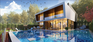 شركة بتر هوم