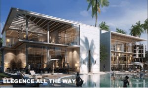 الخط الساخن لشركة المراسم