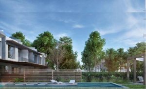 مشروع فينشي