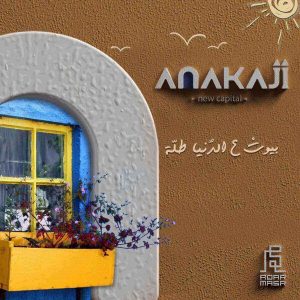 خدمات اناكاجى العاصمة الادارية