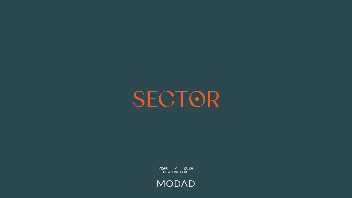 سيكتور العاصمة الادارية الجديدة  Sector New Capital