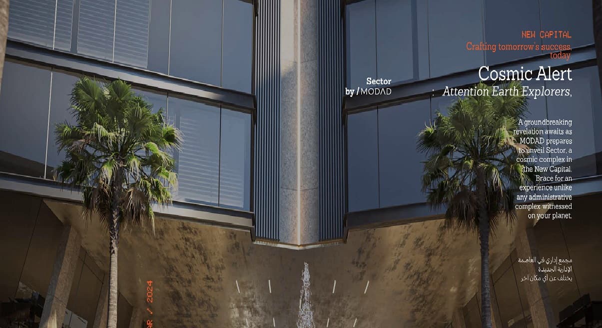 سيكتور العاصمة الادارية الجديدة  Sector New Capital